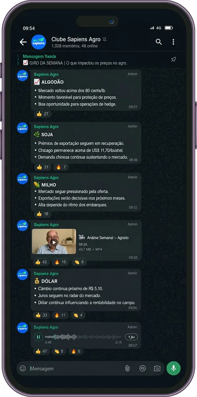 Celular exibindo a conversa do grupo do Clube Sapiens no WhatsApp